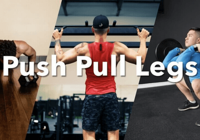 Push Pull Legs Workout Routine PDF