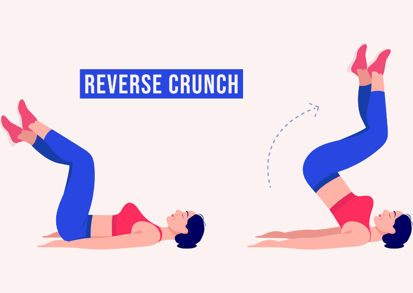 reverse crunch exercise